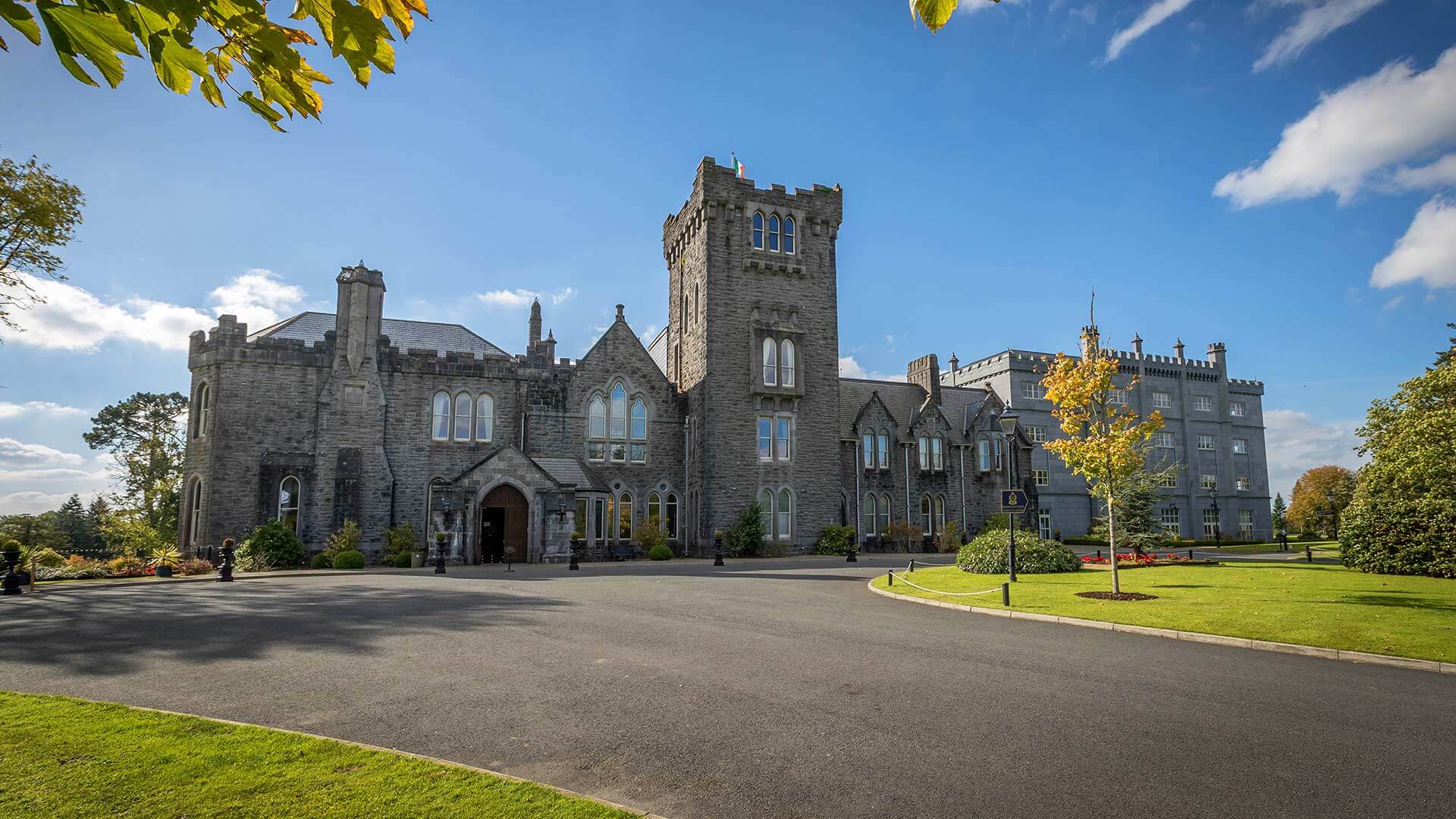 Check out this gorgeous lakeside walk at Kilronan Castle, Co. Roscommon, Ireland!