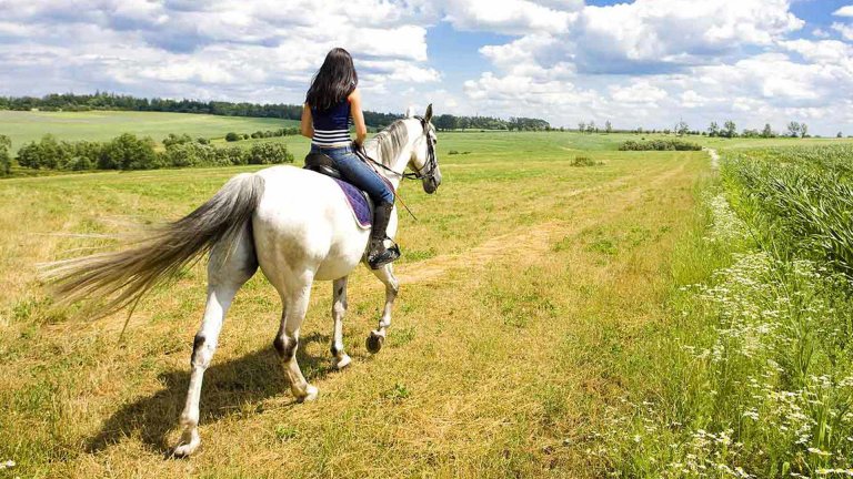 Lough Gara Riding Stables