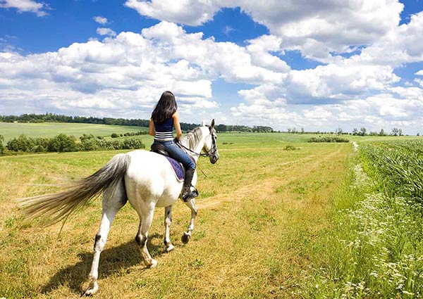 Lough Gara Riding Stables