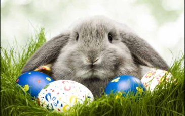 2 Nights Easter Family Special