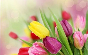 Good Friday Special