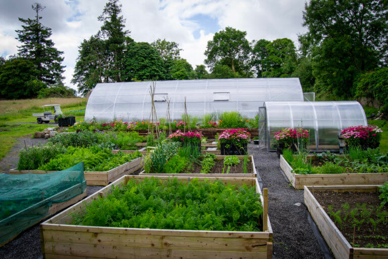 Do you Cater for Dietary Requirements?