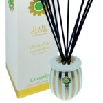 Diffuser Clamante